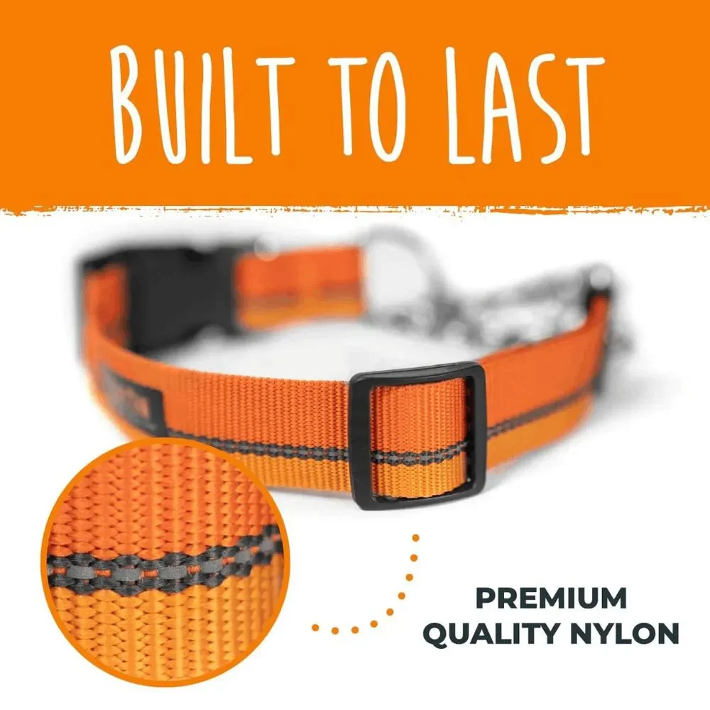 NWT Mighty Paw Orange Martingale Dog Collar 2.0